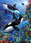 Orcas (image for) Orcas